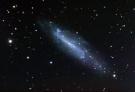NGC4236_26122009_04.jpg