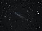 NGC4236_18032009.jpg