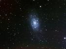 NGC2403_04012010_03.jpg